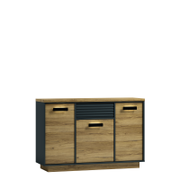 linea004