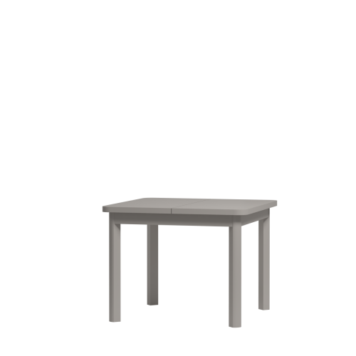 Ines art. 16.png