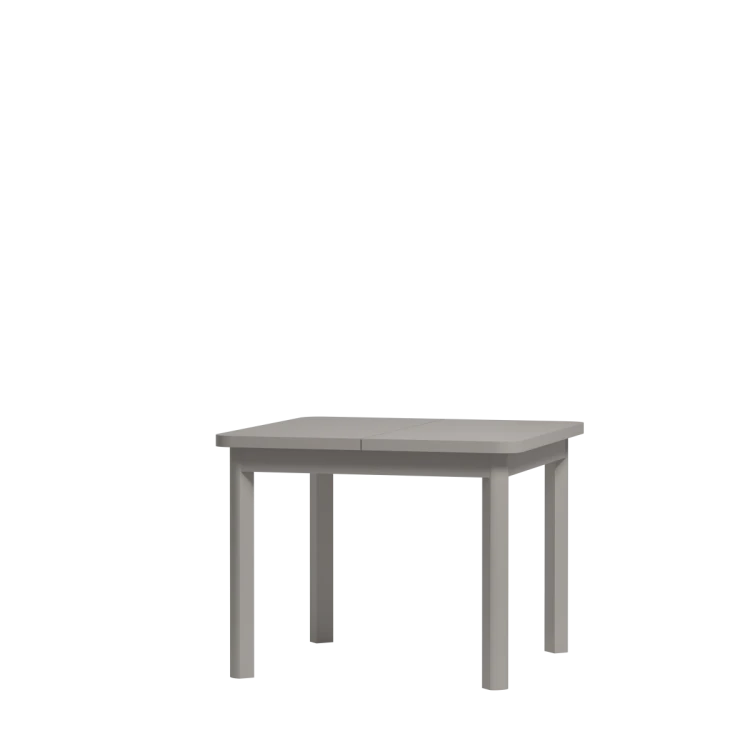 Ines art. 16.png