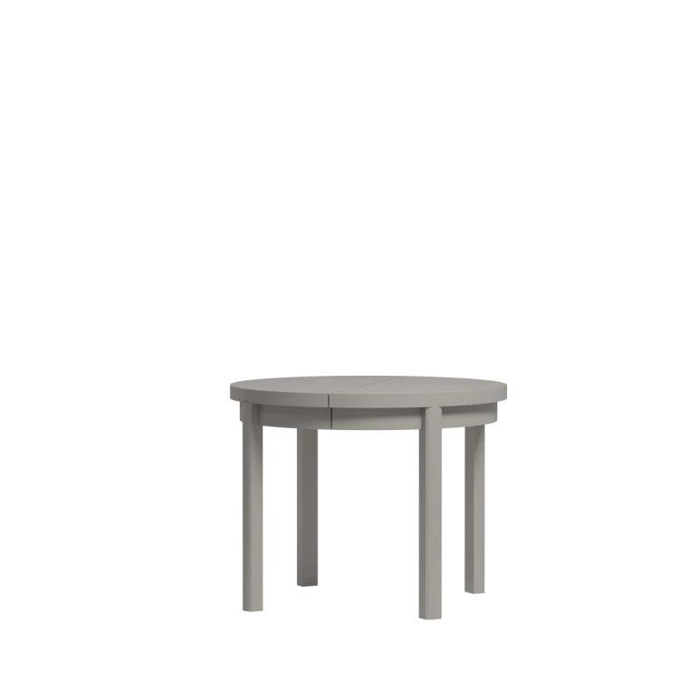 Ines art. 17.png